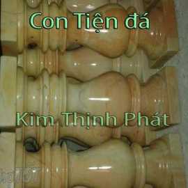 lục bình đá con tiện g005